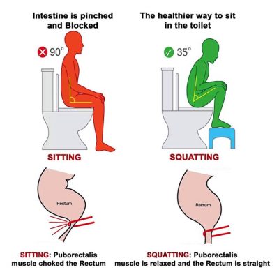 How To Use A Squatty Potty